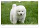 Thumbnail-12