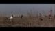 Thumbnail-9