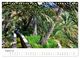 Thumbnail-10