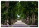 Thumbnail-11