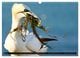 Thumbnail-10