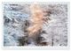 Thumbnail-7