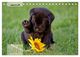 Thumbnail-13