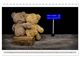 Thumbnail-8