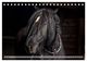 Thumbnail-9