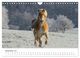 Thumbnail-14