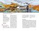 Thumbnail-8