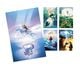 Thumbnail-2