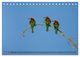 Thumbnail-7