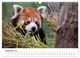 Thumbnail-11