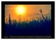 Thumbnail-9