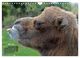 Thumbnail-9