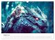 Thumbnail-13