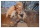 Thumbnail-11