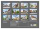 Thumbnail-4