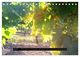 Thumbnail-9