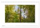 Thumbnail-10