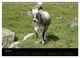 Thumbnail-9