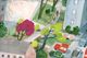 Thumbnail-2