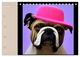 Thumbnail-8