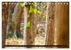 Thumbnail-9