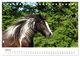 Thumbnail-12