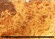 Thumbnail-12