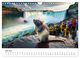 Thumbnail-11