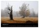 Thumbnail-14