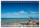 Thumbnail-8