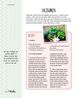Thumbnail-15