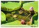 Thumbnail-14