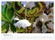 Thumbnail-14