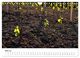 Thumbnail-10