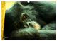 Thumbnail-12