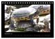 Thumbnail-14