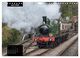 Thumbnail-9
