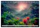 Thumbnail-11