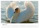 Thumbnail-10