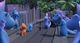 Thumbnail-8