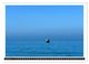 Thumbnail-13