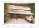 Thumbnail-11
