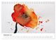 Thumbnail-14