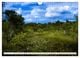 Thumbnail-8