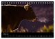 Thumbnail-8