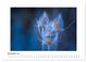 Thumbnail-14