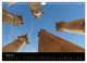 Thumbnail-11