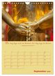 Thumbnail-14