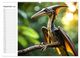 Thumbnail-13