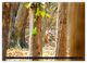 Thumbnail-9